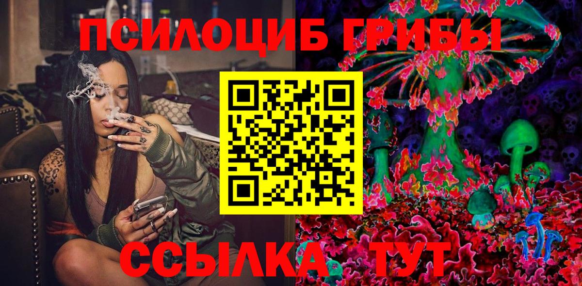 Псилоцибиновые грибы GOLDEN TEACHER  Вход с VPN  Черкесск 