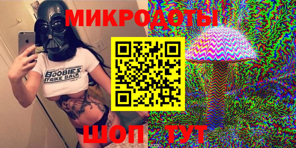 Псилоцибиновые грибы Psilocybine cubensis Черкесск